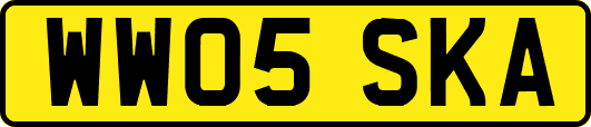 WW05SKA