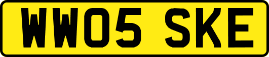 WW05SKE