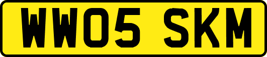 WW05SKM