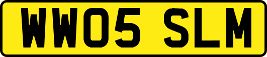 WW05SLM