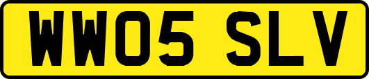 WW05SLV