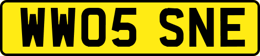 WW05SNE