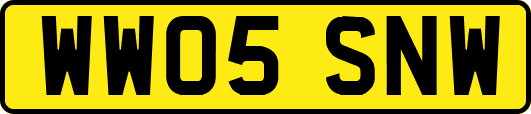 WW05SNW
