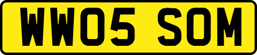 WW05SOM