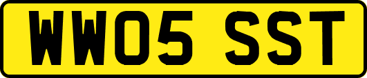 WW05SST