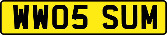 WW05SUM