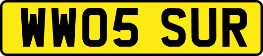 WW05SUR