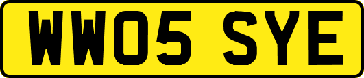 WW05SYE