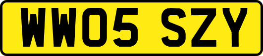 WW05SZY