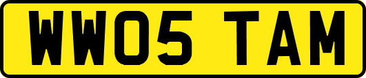 WW05TAM