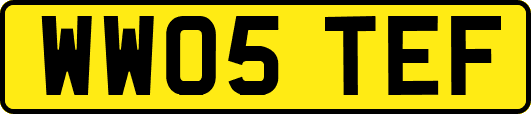 WW05TEF