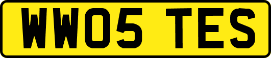 WW05TES