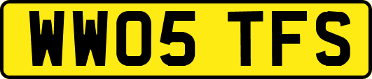 WW05TFS