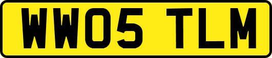 WW05TLM