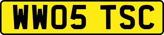 WW05TSC