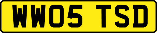 WW05TSD