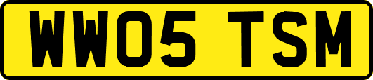 WW05TSM