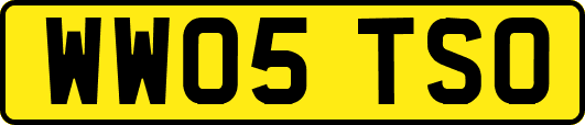 WW05TSO