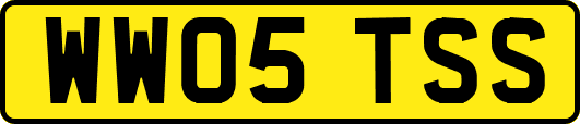 WW05TSS
