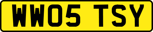 WW05TSY