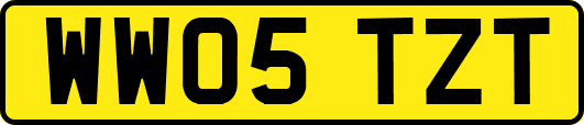 WW05TZT