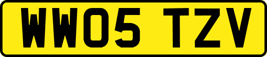 WW05TZV