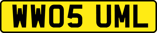 WW05UML