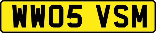 WW05VSM