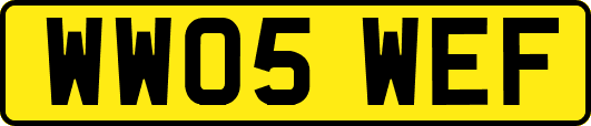 WW05WEF