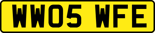 WW05WFE