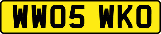 WW05WKO