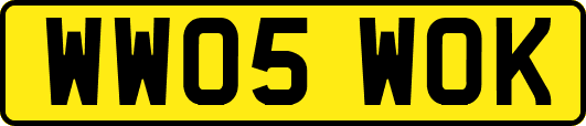 WW05WOK