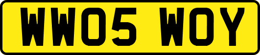 WW05WOY