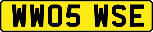 WW05WSE