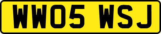 WW05WSJ