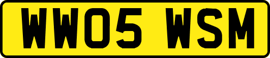 WW05WSM