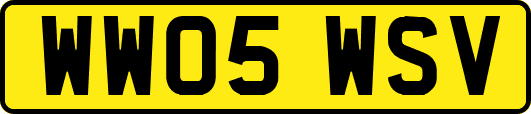 WW05WSV