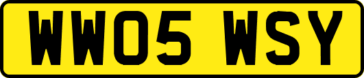 WW05WSY