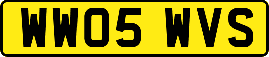 WW05WVS