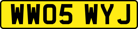 WW05WYJ