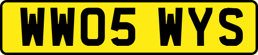 WW05WYS