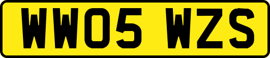 WW05WZS