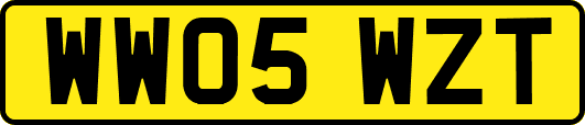 WW05WZT
