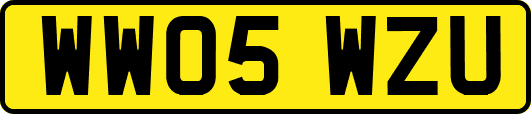WW05WZU