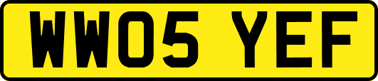 WW05YEF