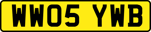 WW05YWB