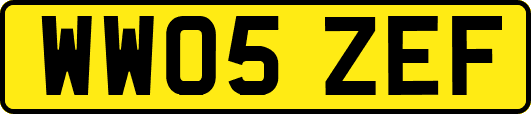 WW05ZEF