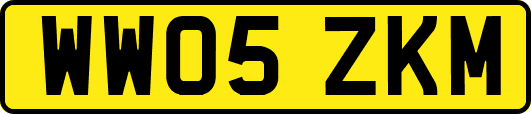 WW05ZKM
