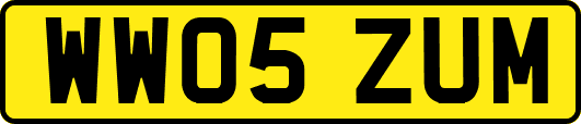 WW05ZUM