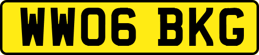 WW06BKG